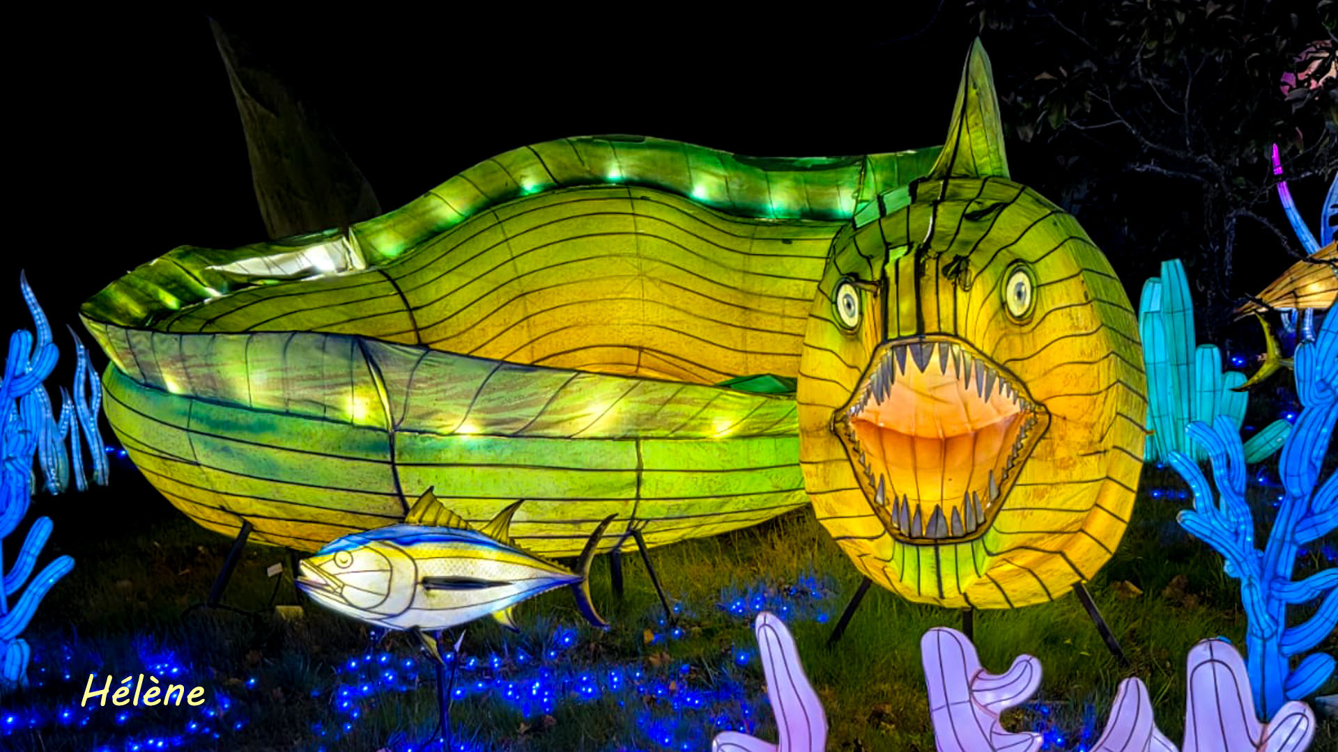 THOIRY -Illumination ,  Lumières sauvages 2025-2026